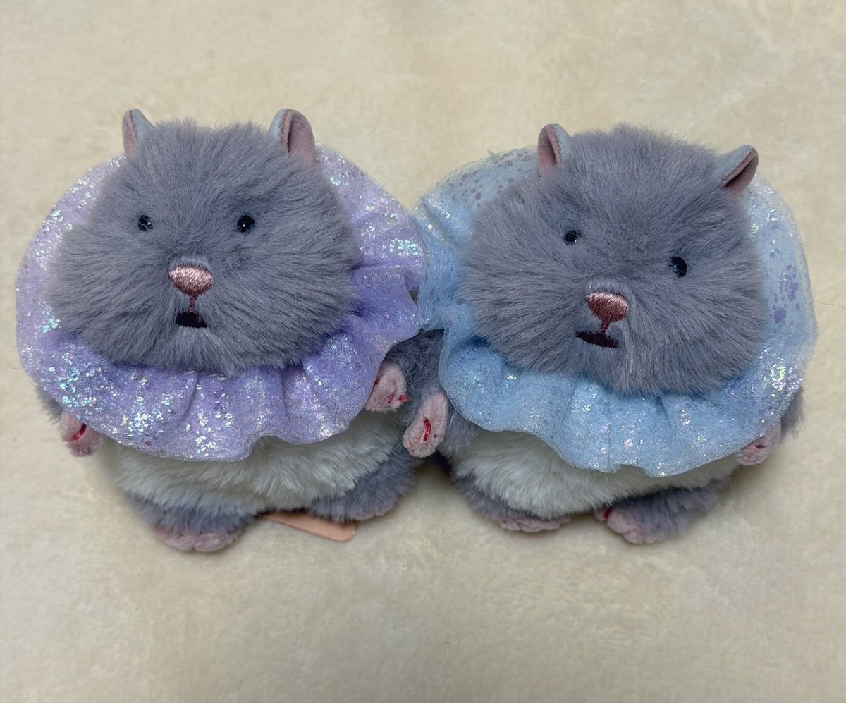 hamhamstarrrr's tweet photo. エリマキトカゲに似てる https://t.co/UUoFaRPe3P