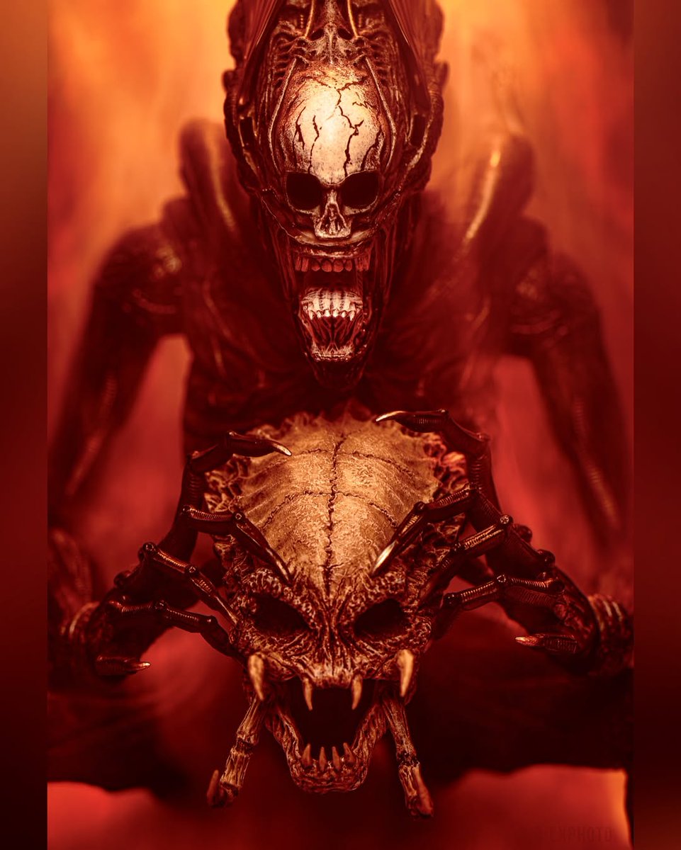 Alien vs. Predator Galaxy tweet media