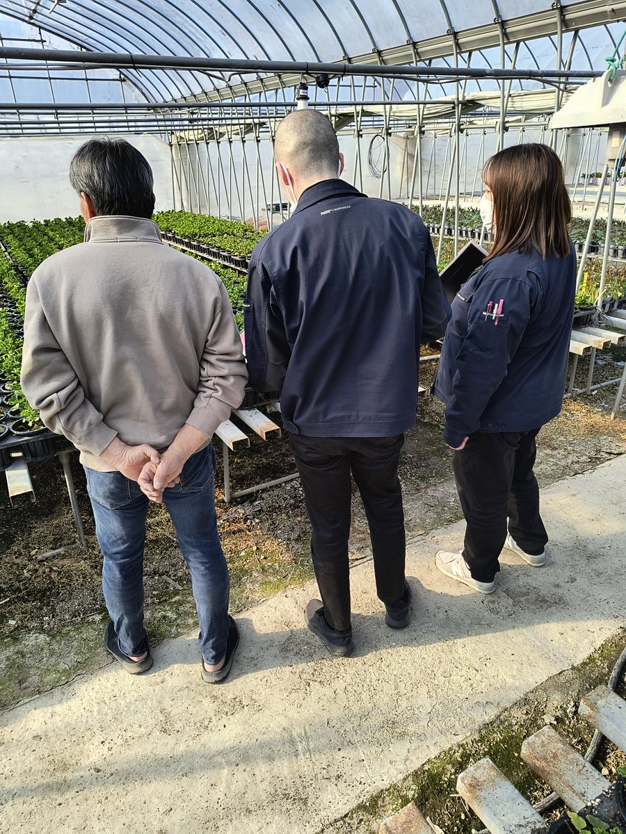 若葉園芸 tweet media