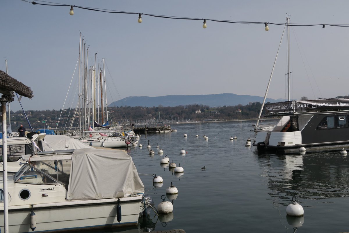 Byrchall High School tweet media