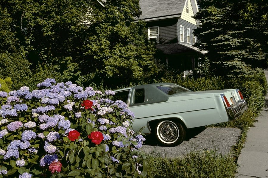 L'uomo degli abissi tweet media