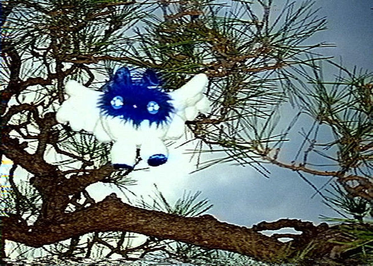 ʟᴏᴠᴇᴋɪᴅ tweet media