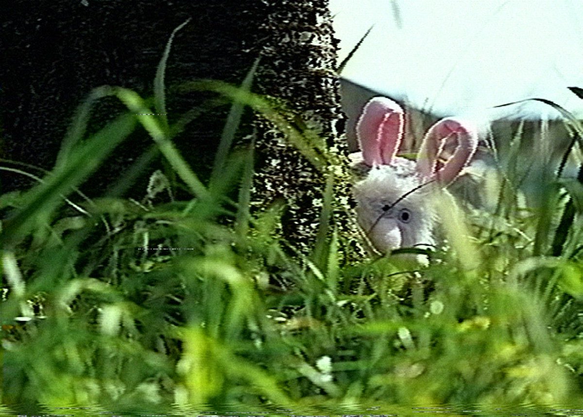 ʟᴏᴠᴇᴋɪᴅ tweet media