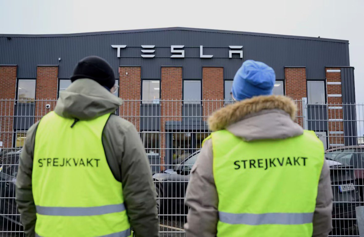 Ann T. Red tweet media