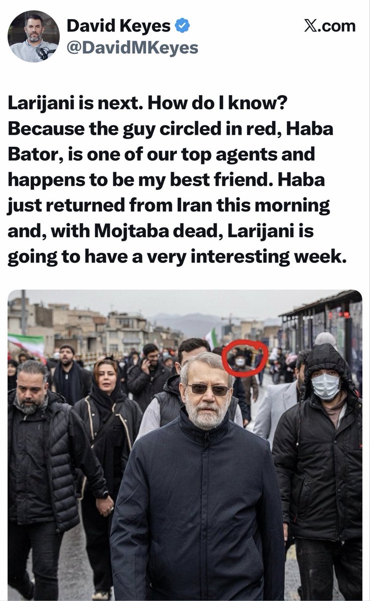 ديفيد كيز المتحدث السابق باسم رئيس الوزراء الاسرائيلي قبل ثلاثة أيام نشر تغريدة مع صورة للاربجاني ومجموعة من مرافقيه، ويظهر في الصورة شخص كان يمشي خلف لاريجاني بأمتار، قال عنه ديفيد كيز ان هذا الشخص صديقي وهو  عميل لنا واسمه هالا باتور، ودعوني اقول لكم ان لاريجاني سيكون الهدف