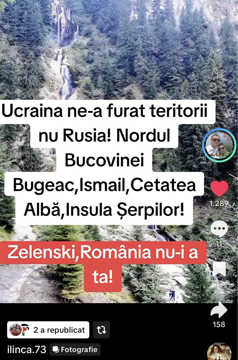 Oana Uluiteanu tweet media