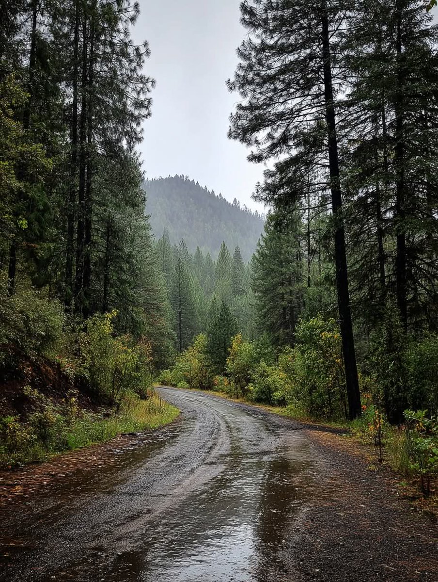 Purely Green tweet media