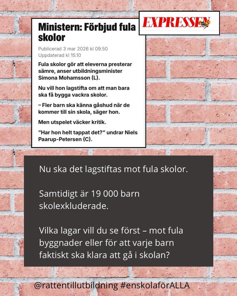 😺 Annika 🕊 tweet media