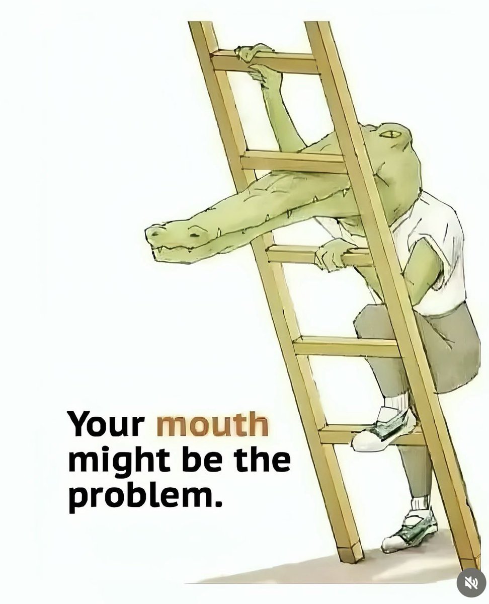 SPACEMAN 💯 tweet media