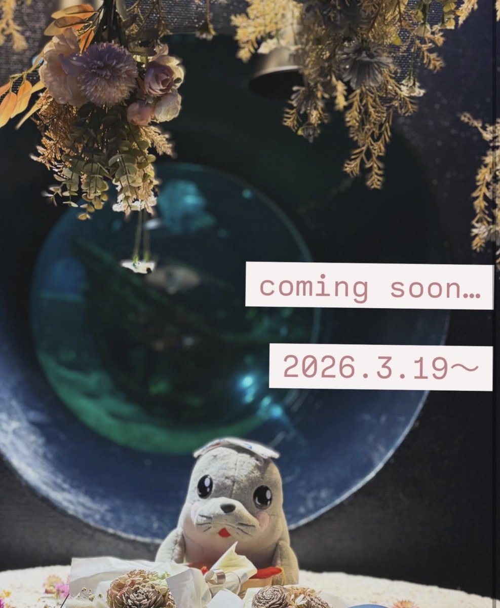 箱根園【公式】 tweet media