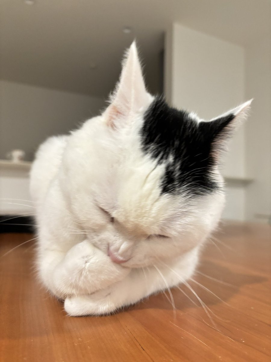 まつもとたける tweet media