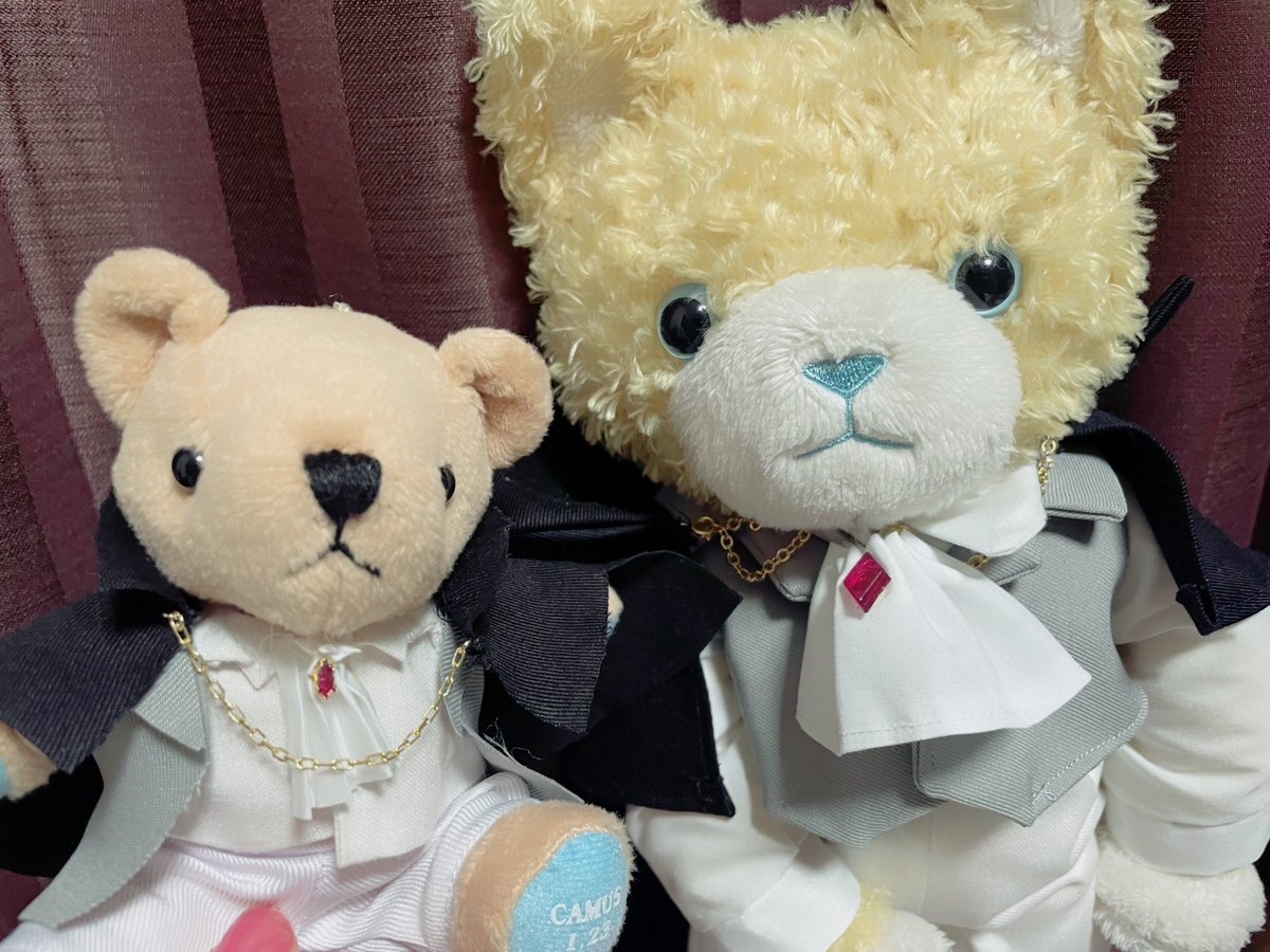 りおん🧊 tweet media