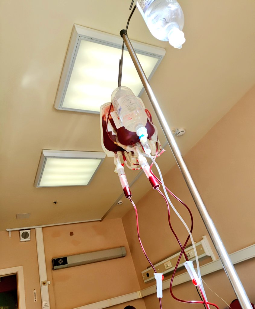 Сырный 🧀🧀🧀 tweet media