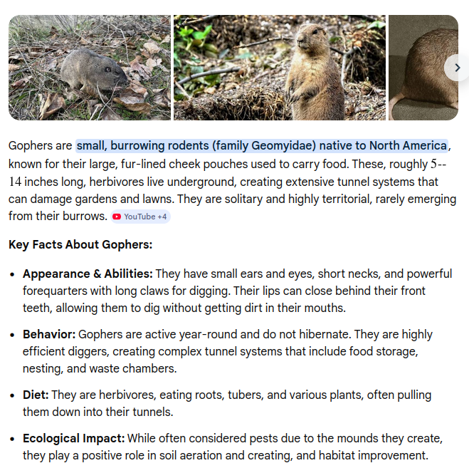 🐿️Nick Gopherman🐿️ tweet media