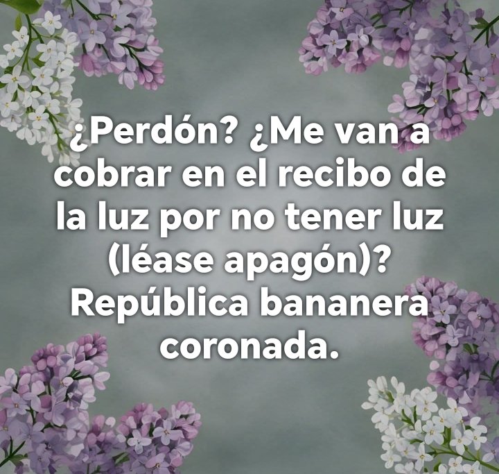 Albert Balada tweet media