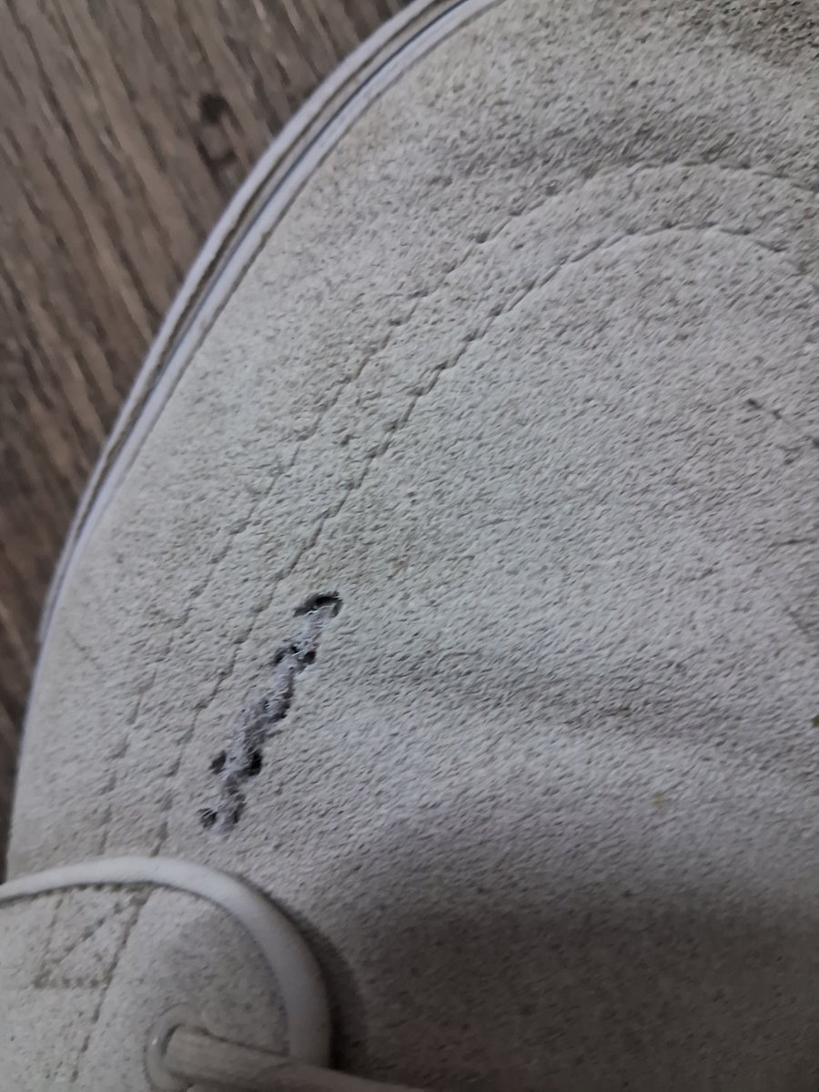 The pilates Studio tweet media