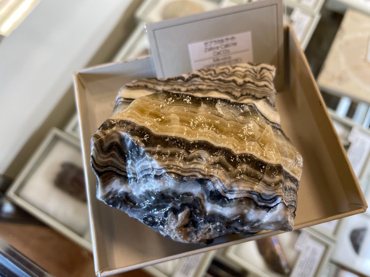 紀伊國屋書店 梅田本店 tweet media