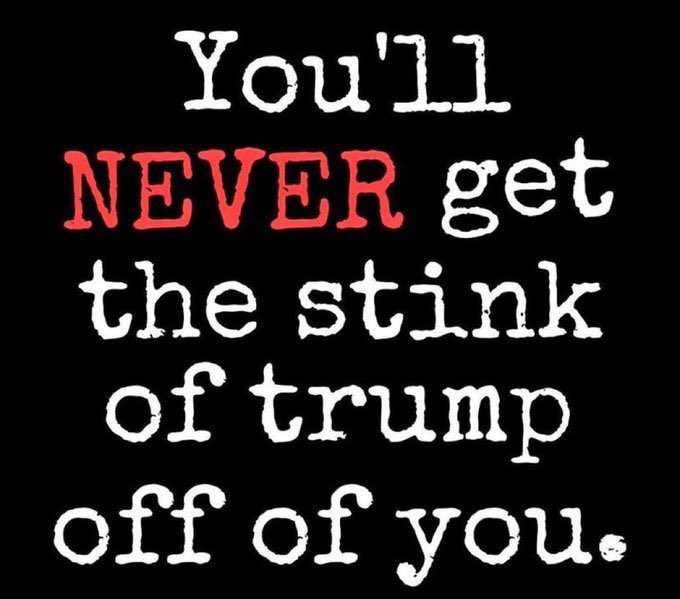 cookie brit ☮️ tweet media