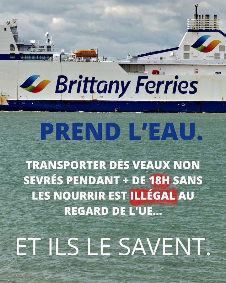 LouFrance75's tweet photo. ARRÊTEZ DE MANGER DU VEAU 🙏🙏🙏🙏
Pire du veau qui vient d'Amérique du Sud ou d'ailleurs, transportés par bateau enfermés, serrés et les uns sur les autres pendant 18h, c'est une horreur
Faites suivre l'info comme vous le voulez, mais faites suivre s'il vous plait ARRÊTONS DE MANGER DU VEAU