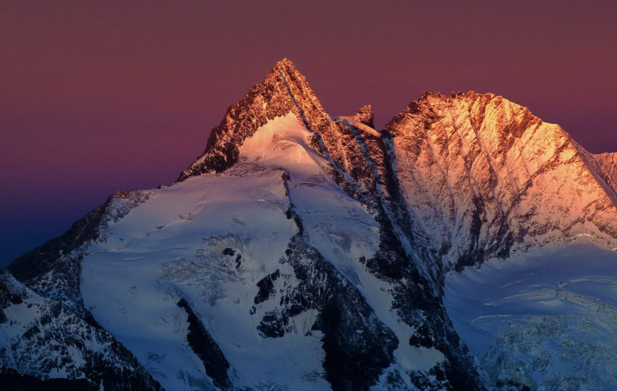 Thymoté Pinon tweet media