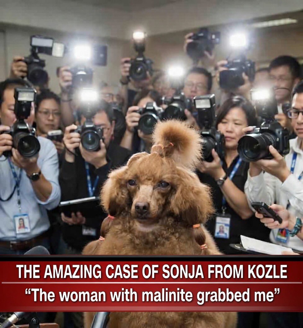 prostmoderen tweet media