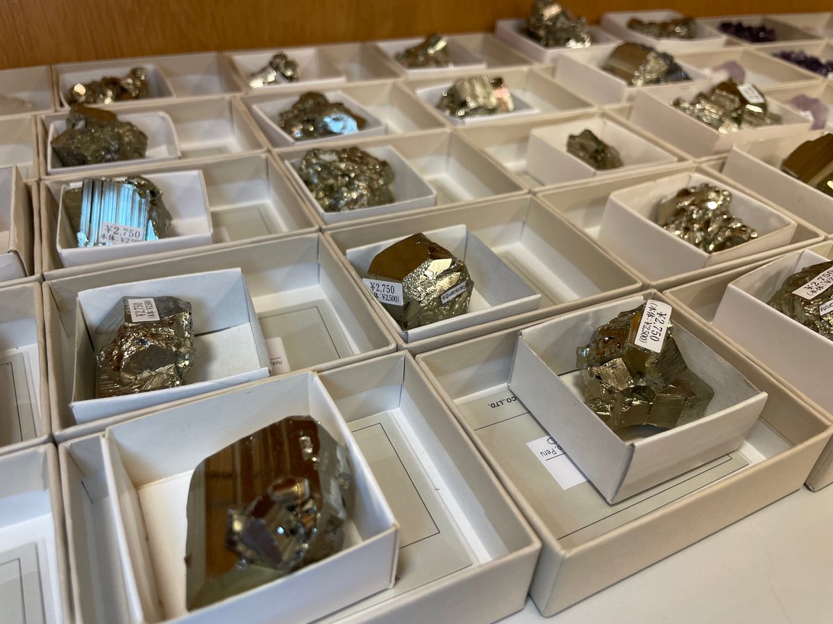 紀伊國屋書店 梅田本店 tweet media