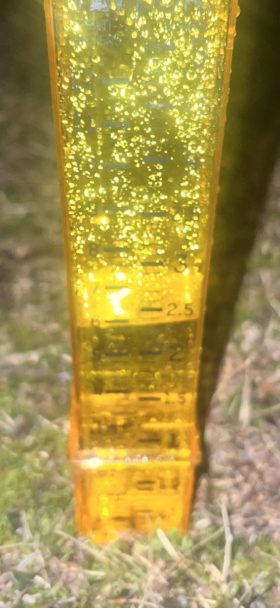 mainetony19's tweet image. Just under 2 and half inches from the storm yesterday and overnight.  Wind was definitely blowing as well, but no power loss.  Enjoy your St Patrick’s Day! 💚 #maine #springstorm #heavyrain #bucksportmaine #theweatherchannel @weatherchannel @newscentermaine @danaosgoodwx