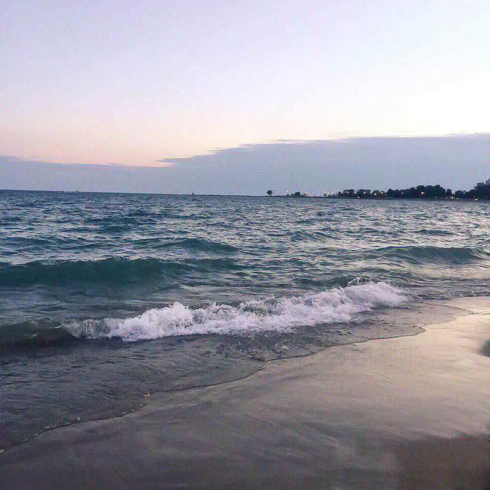 Kim Williams🐬TermMax tweet media