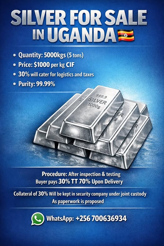 SovereignBain's tweet image. #SilverStandard