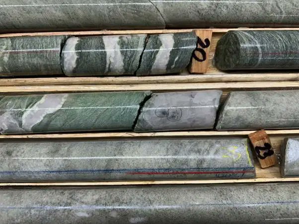 Share_Talk ™ tweet media