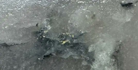 Share_Talk ™ tweet media