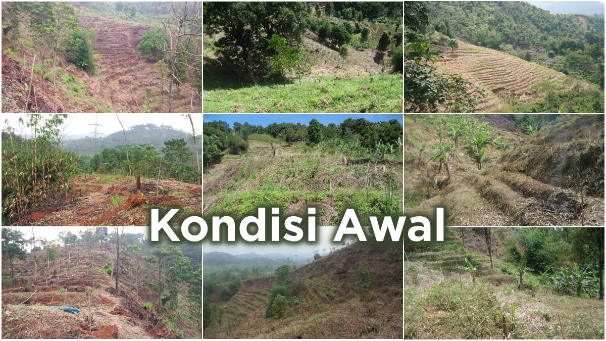 Gembira Tani tweet media