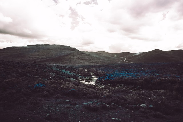 Cassie Dilone tweet media