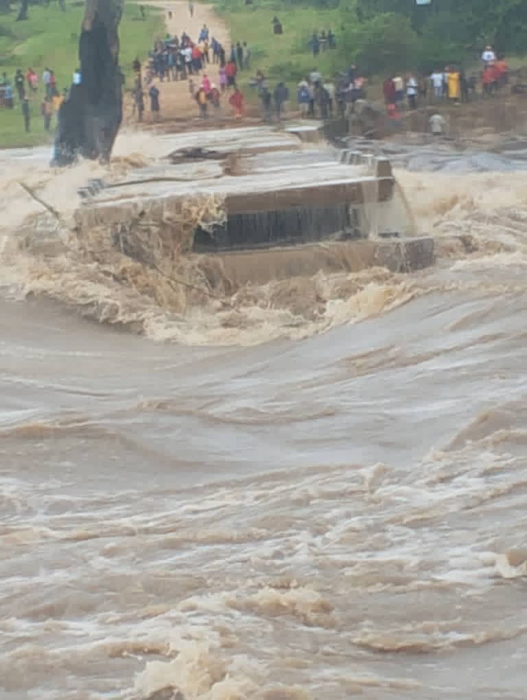 Nick Mangwana tweet media