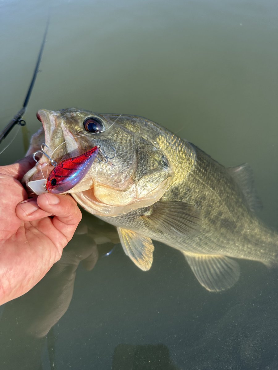 加木屋 守 (マーモ) tweet media