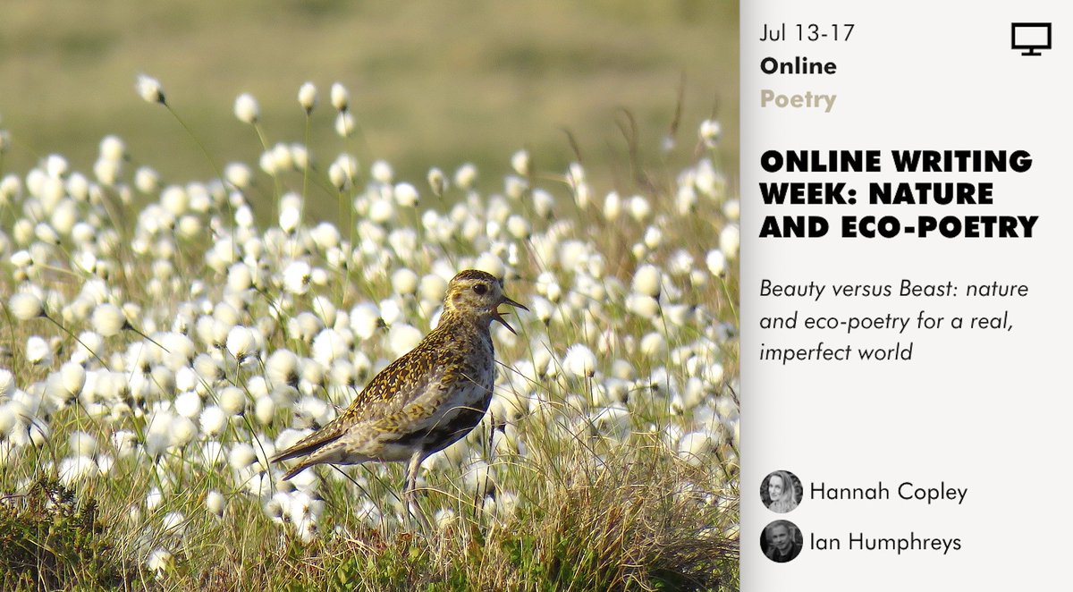 Ian Humphreys tweet media