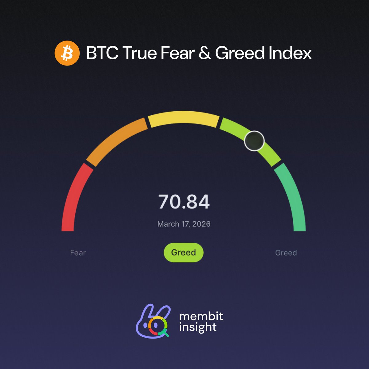 Membit 🐰 tweet media
