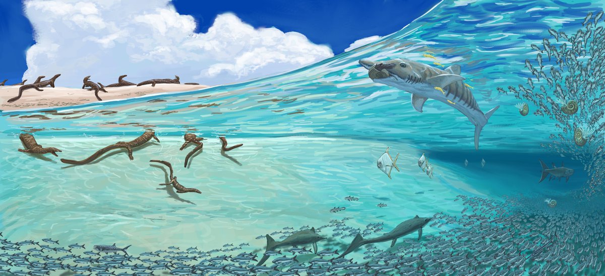 Joschua Knüppe tweet media