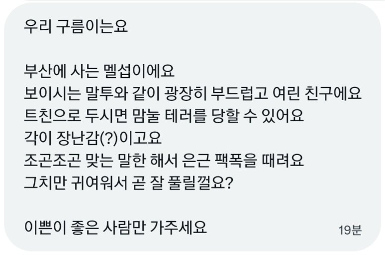 구름하늘☁️ tweet media