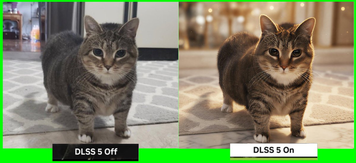 OIIAOIIA Spinning CAT with NVIDIA DLSS 5 On💚