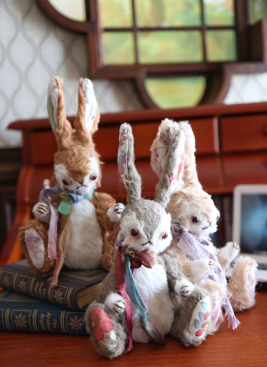 スターアニス tweet media