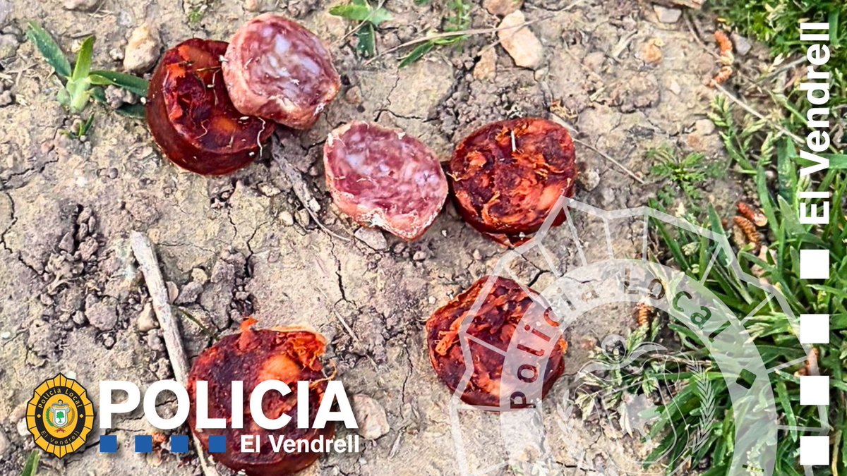 PL El Vendrell tweet media