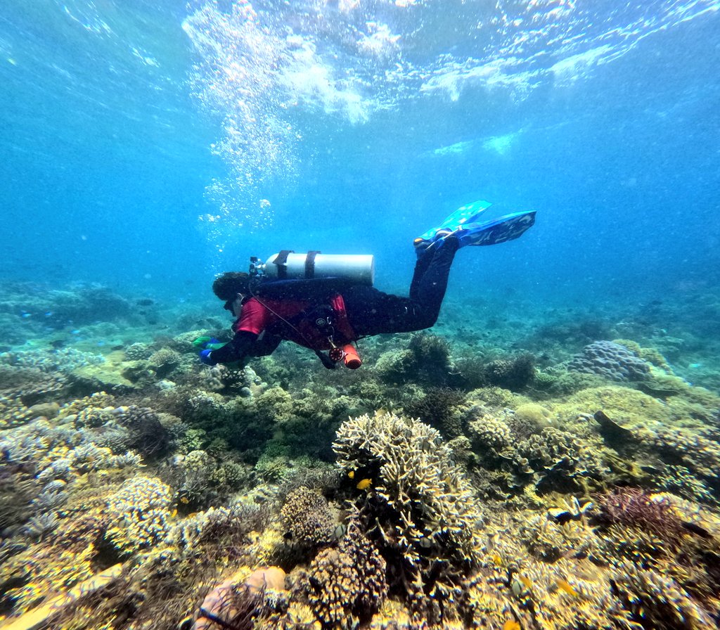 JohRMAnder's tweet photo. I've been suba diving since 2022. After 100+ dives, I didnt notice that I have achieved the proper dive posture already. Dati hiram ako with my trim and buoyancy, now this is my default. My body automatically configures itself underwarter unknowingly. https://t.co/J48PsqyKcP