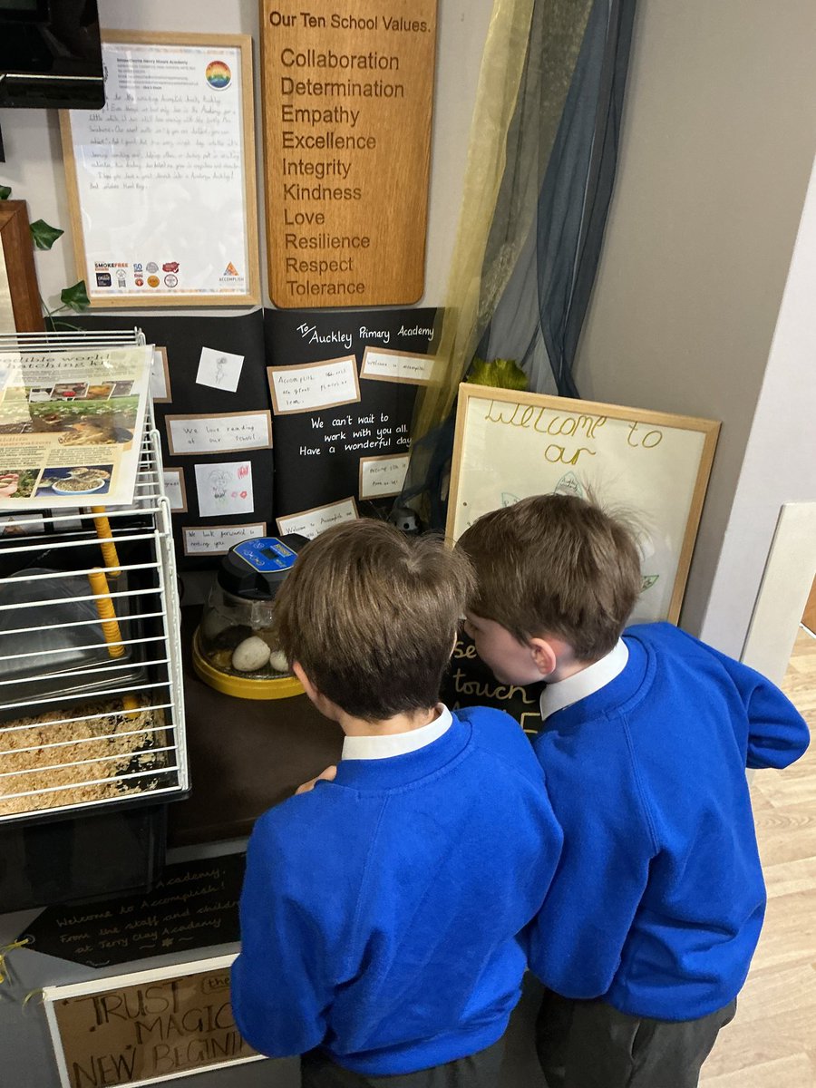 Y3Auckley's tweet image. An exciting morning at Auckley today. Our ducklings have started hatching! There was a lot of discussion and curiosity about how old they have to be to swim and what do they eat when they are so young.