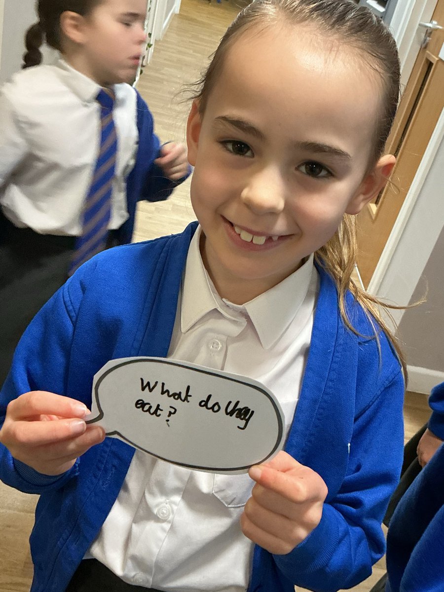 Y3Auckley's tweet image. An exciting morning at Auckley today. Our ducklings have started hatching! There was a lot of discussion and curiosity about how old they have to be to swim and what do they eat when they are so young.