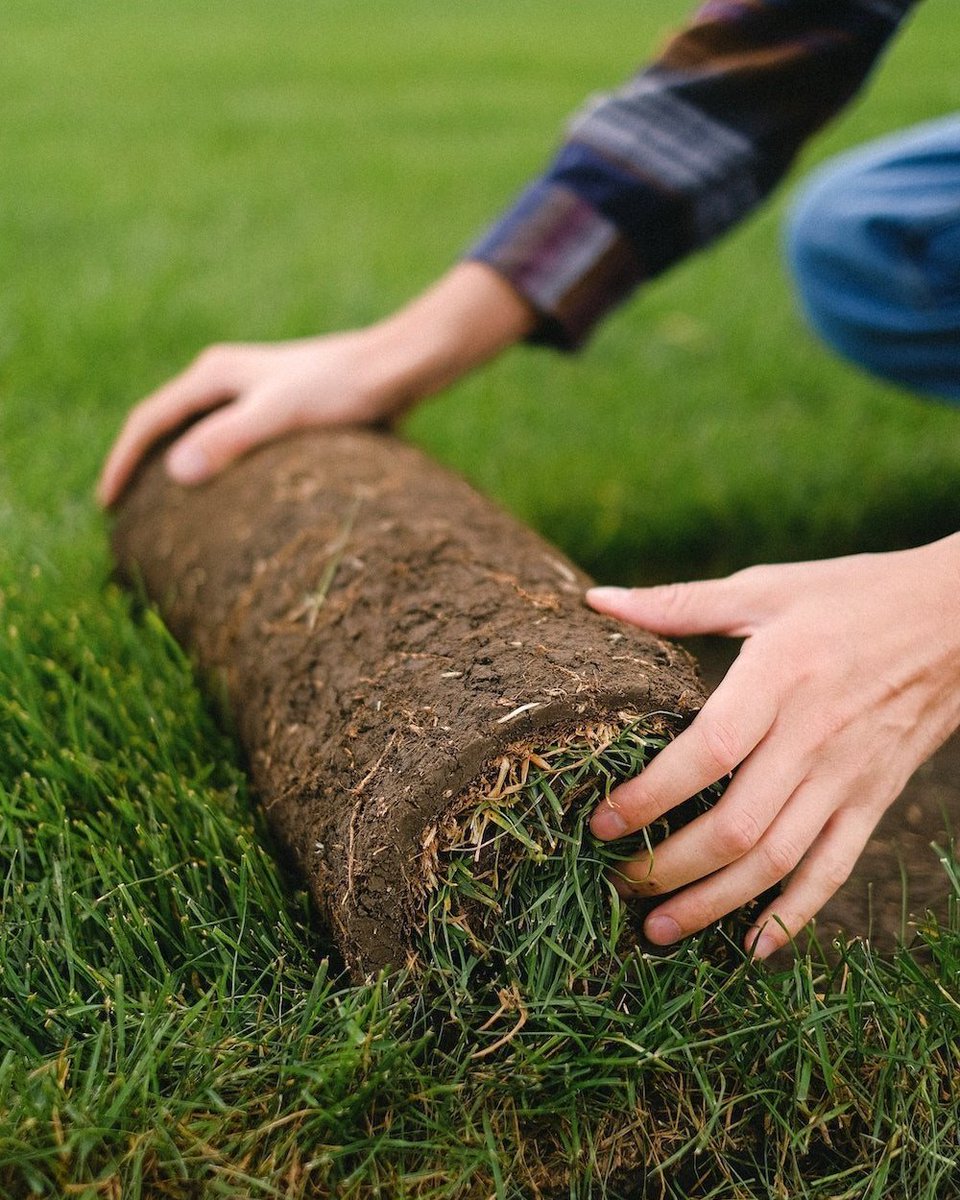 AlgifolUK tweet media