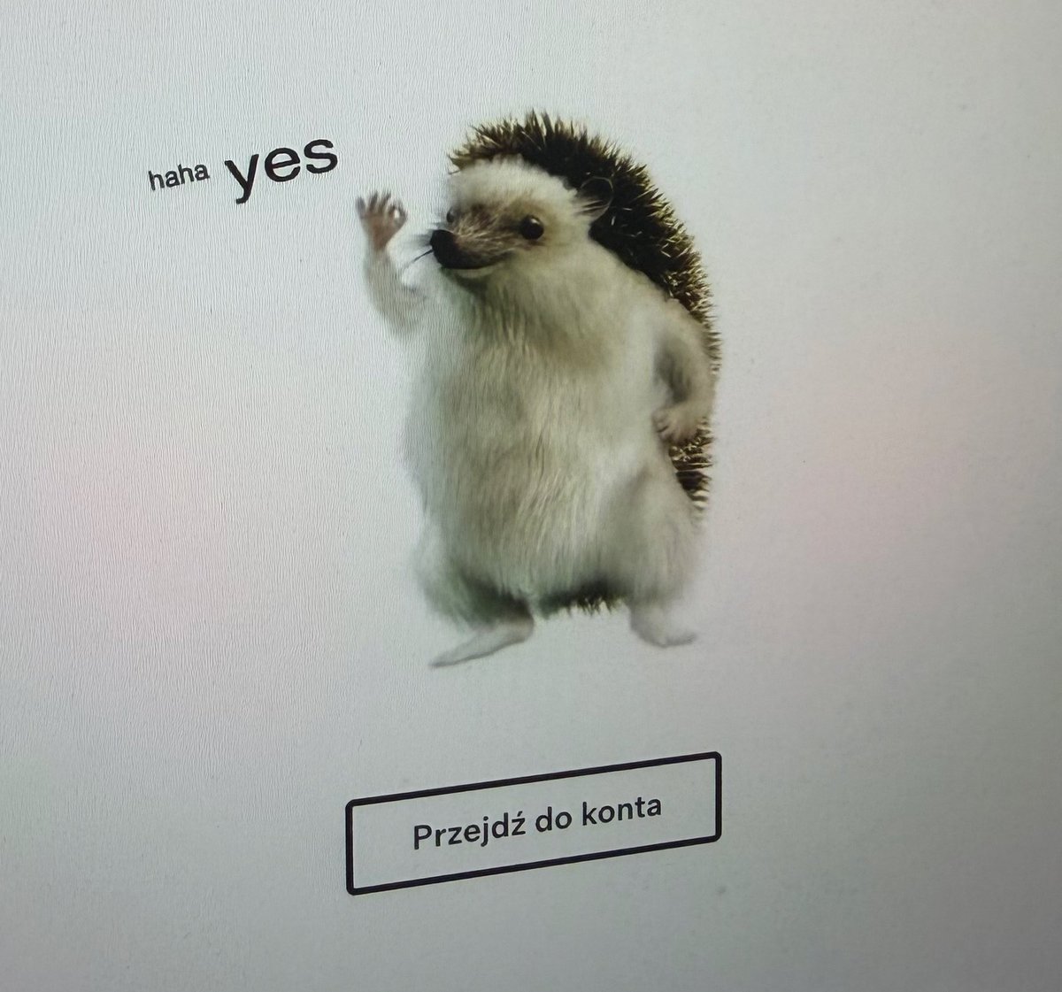 Michał Gapiński tweet media