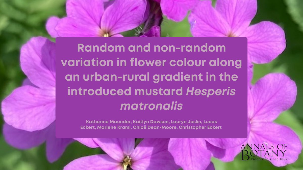 Annals of Botany tweet media