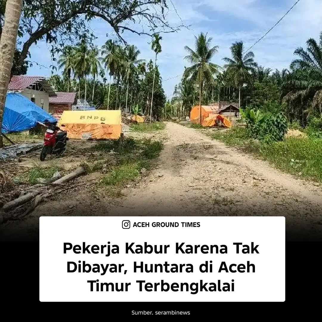 Aceh 🇮🇩🇹🇷🇵🇸 tweet media