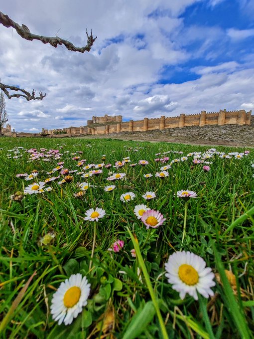 Castillo y muralla de Berlanga de Duero 
📸 <a href="/Rociowaly/">Rocio RM</a>
 @soriaestademoda